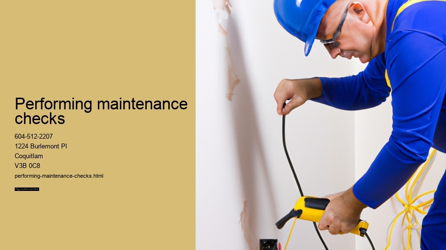Performing maintenance checks